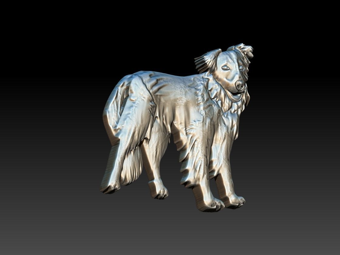 Border Collie Dog 3D print model_1
