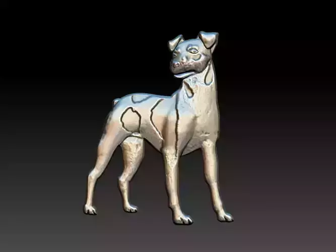 Brazilian Terrier - Fox Paulistinha - Dog Relief 3D print model
