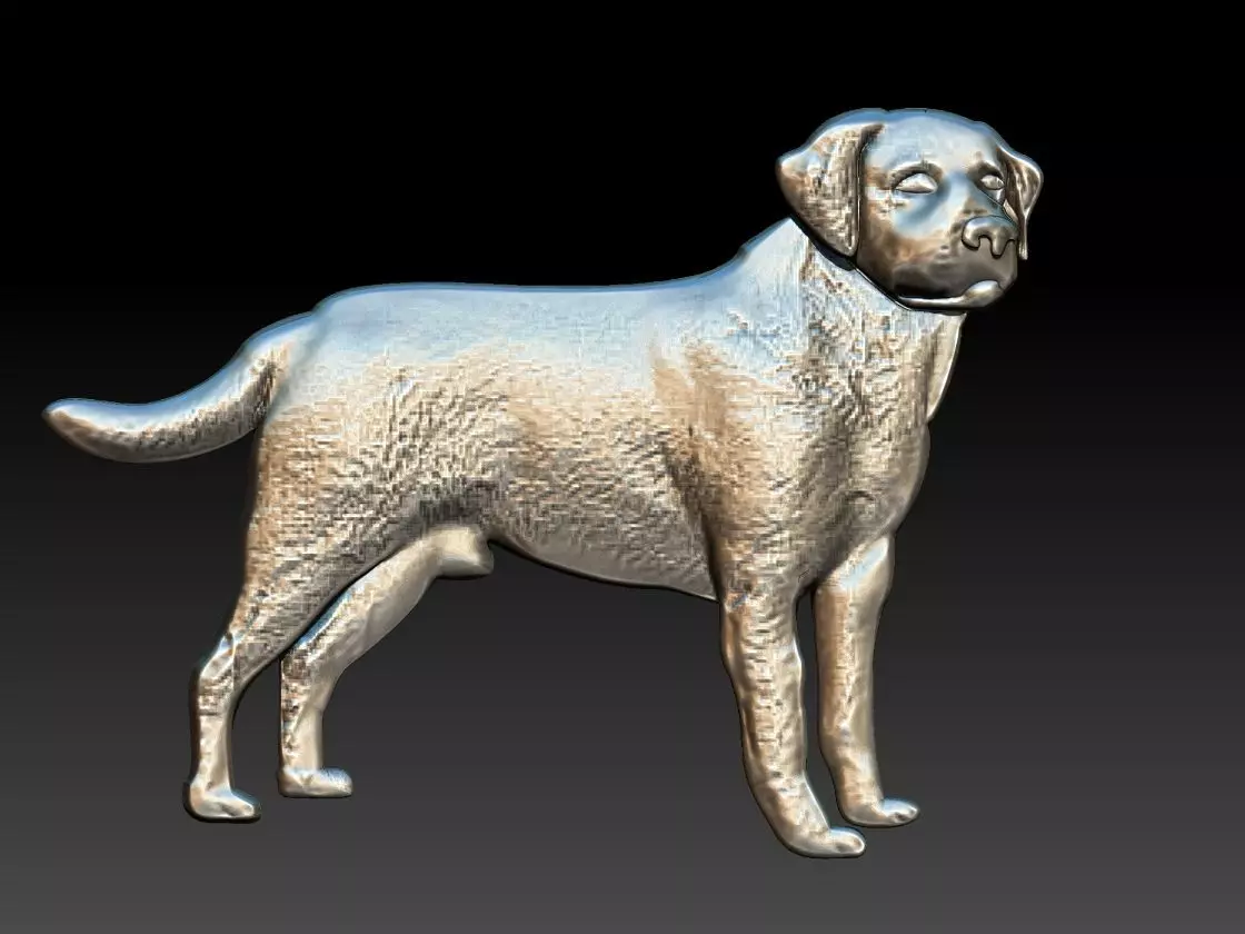 Labrador Dog Relief 3D print model_0