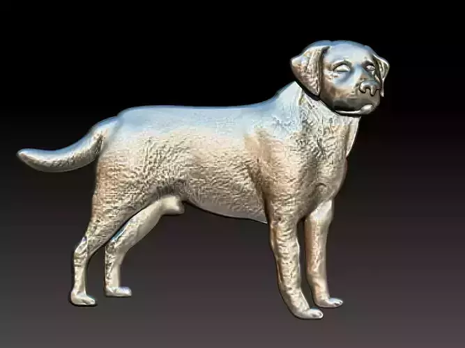 Labrador Dog Relief 3D print model