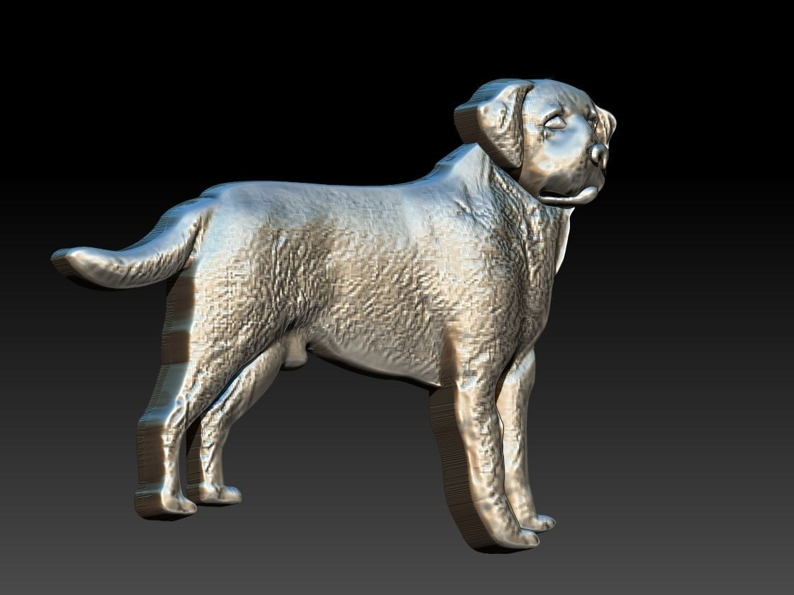 Labrador Dog Relief 3D print model_1