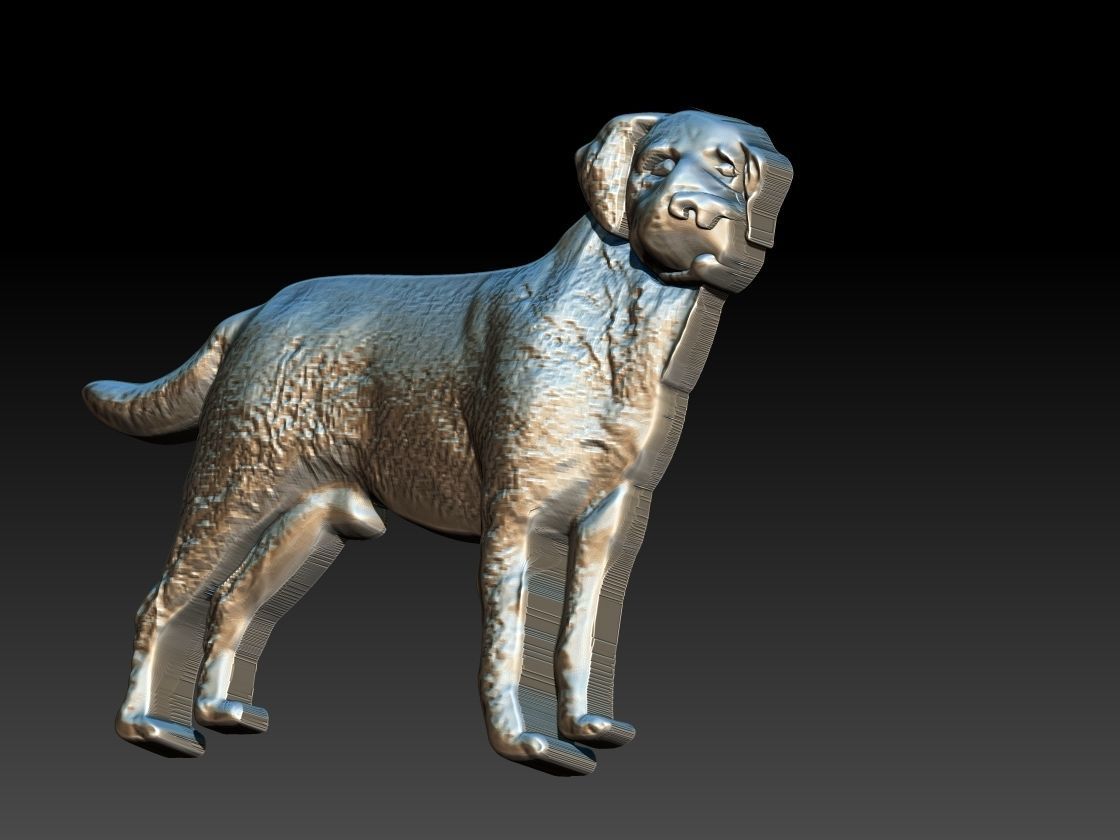 Labrador Dog Relief 3D print model_6