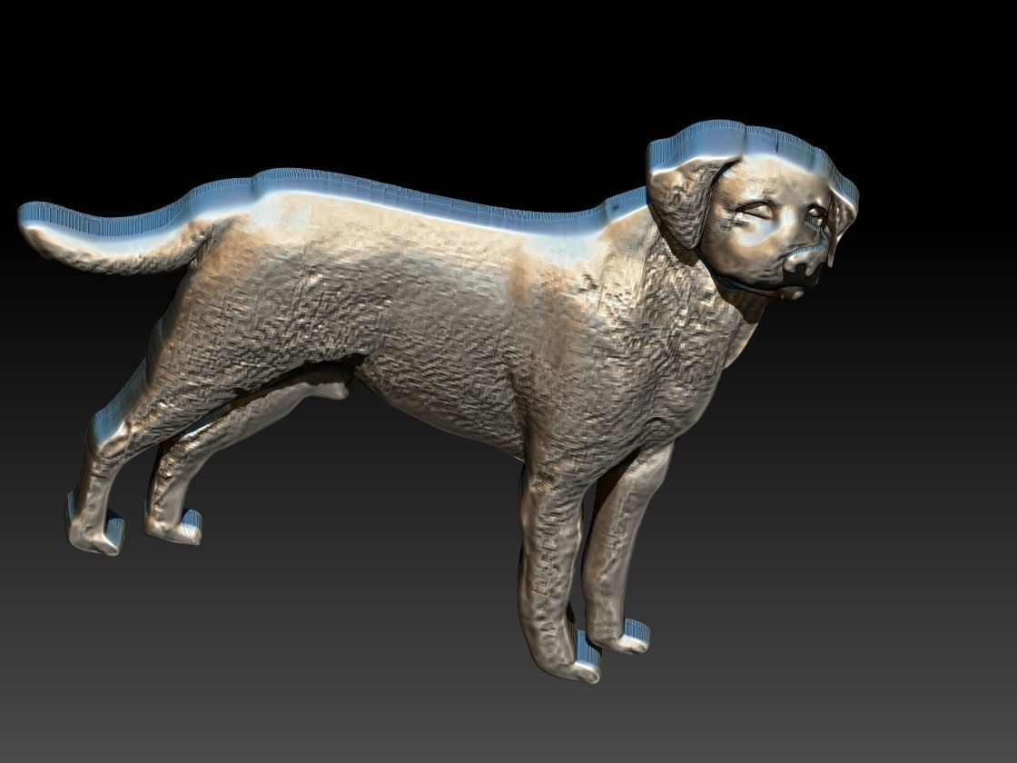 Labrador Dog Relief 3D print model_7