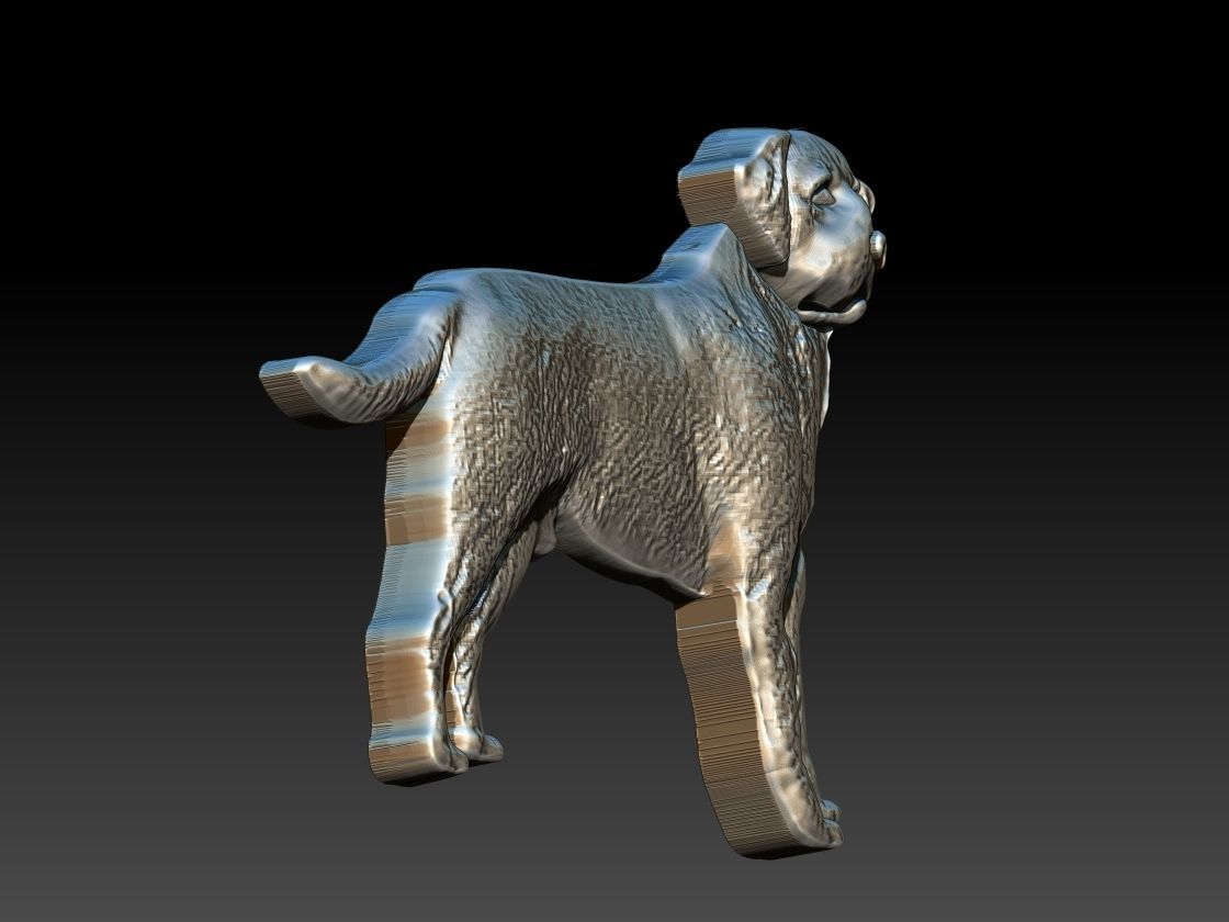 Labrador Dog Relief 3D print model_3