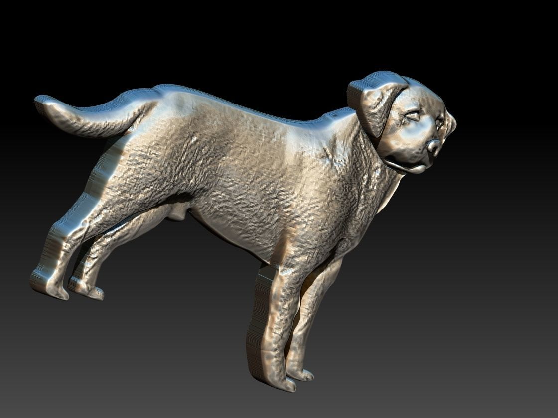 Labrador Dog Relief 3D print model_8