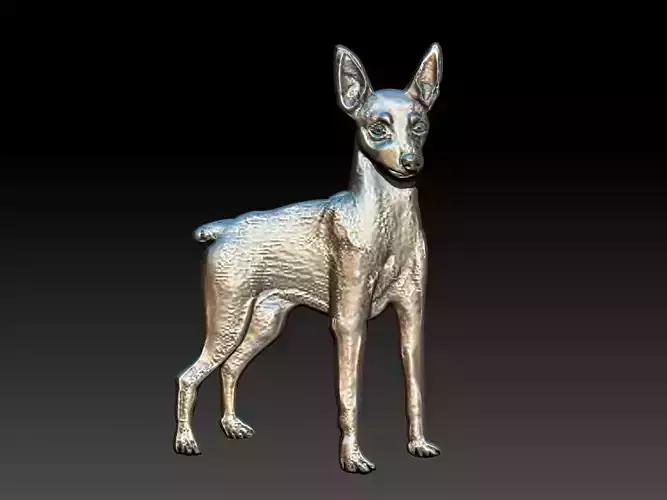 Pinscher Dog Relief
