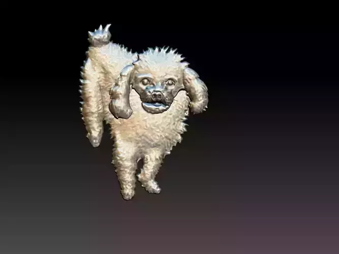 Poodle Dog Relief 3D print model