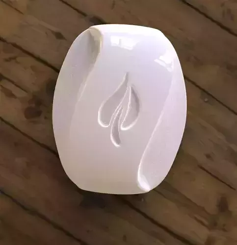 soap for print 3D print model