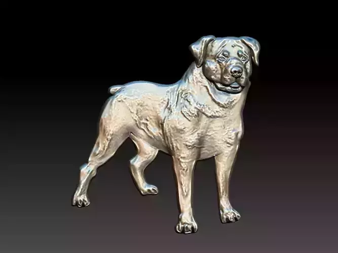 Rottweiler Dog Relief