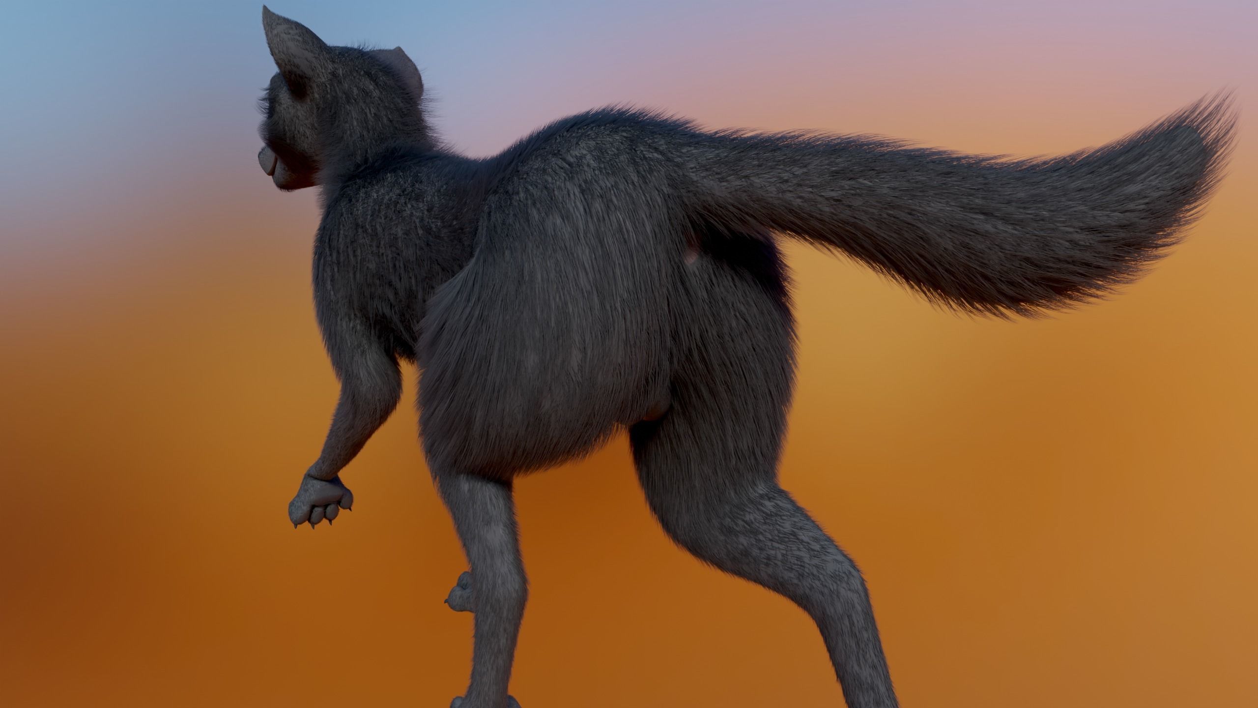 Noah Wolf  3D model_17