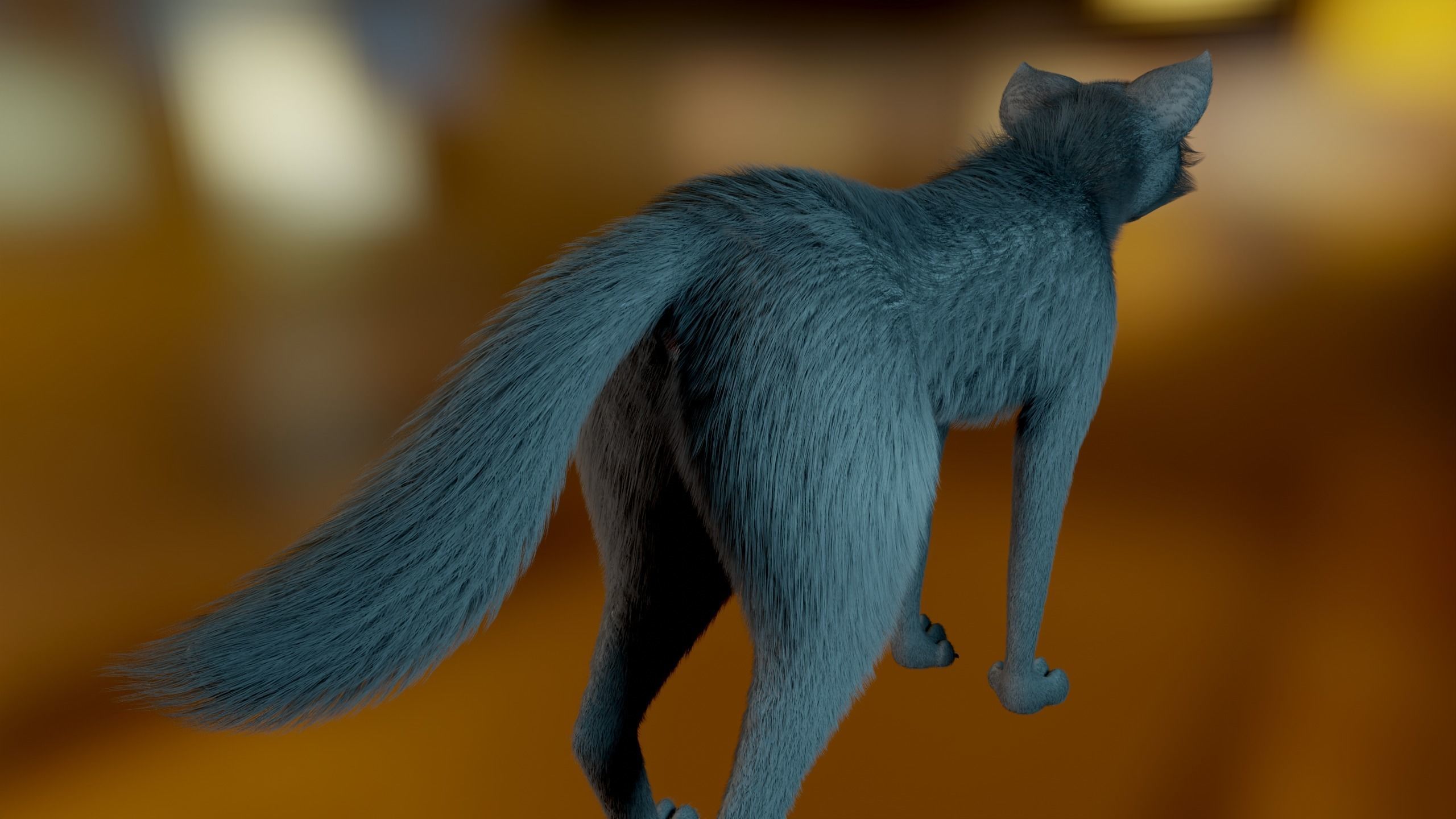 Noah Wolf  3D model_8