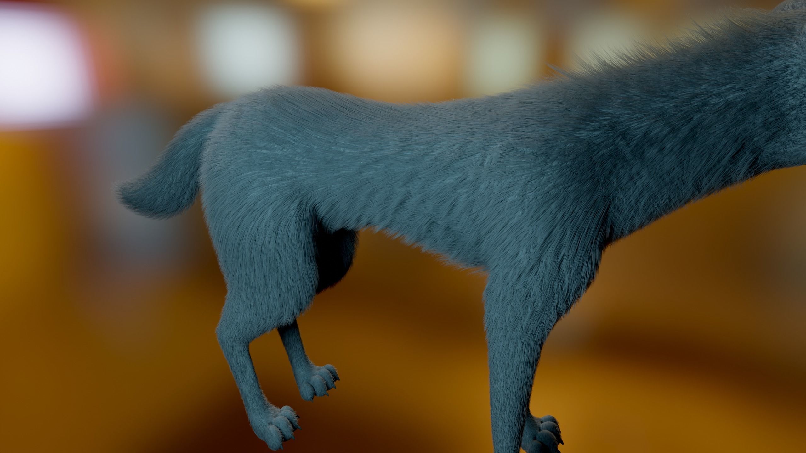 Noah Wolf  3D model_9
