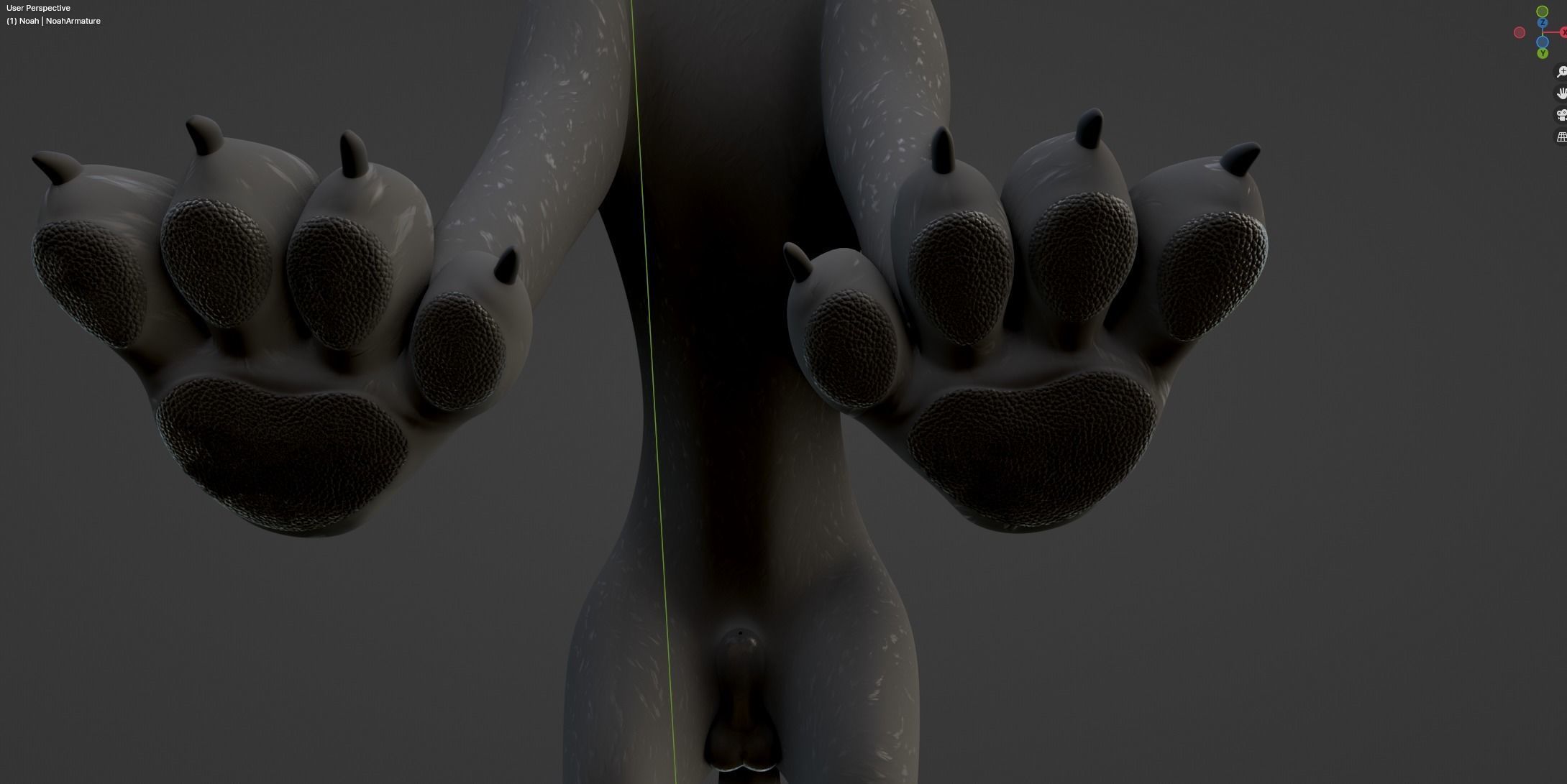 Noah Wolf  3D model_45