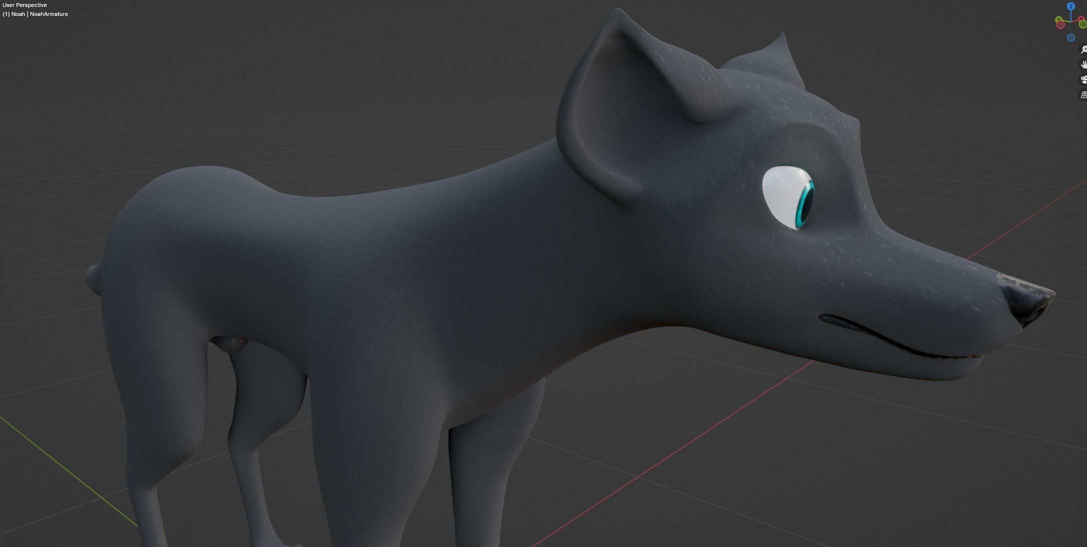 Noah Wolf  3D model_40