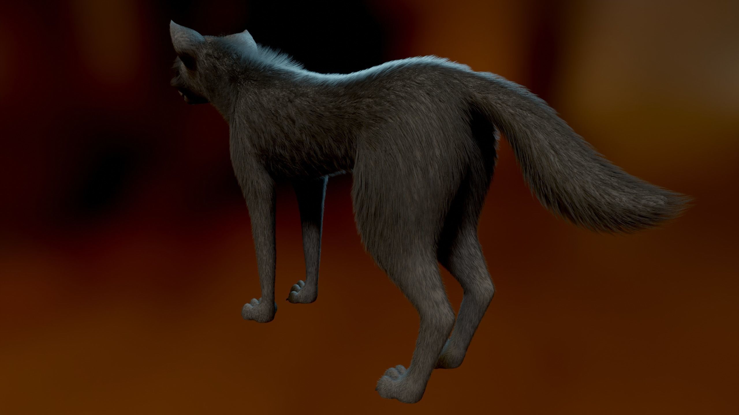 Noah Wolf  3D model_6