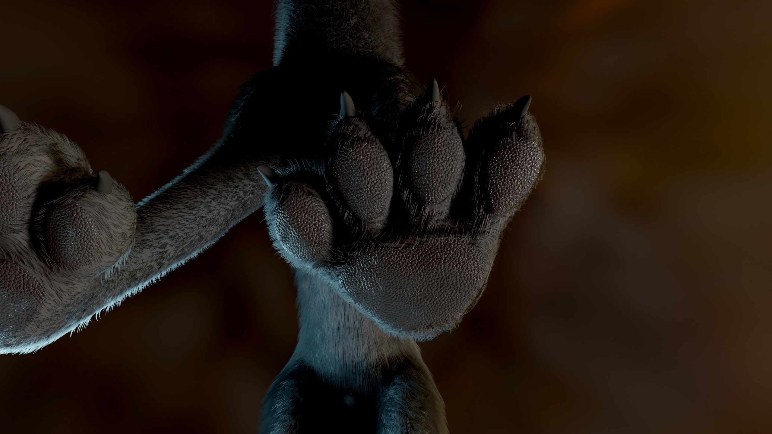 Noah Wolf  3D model_13