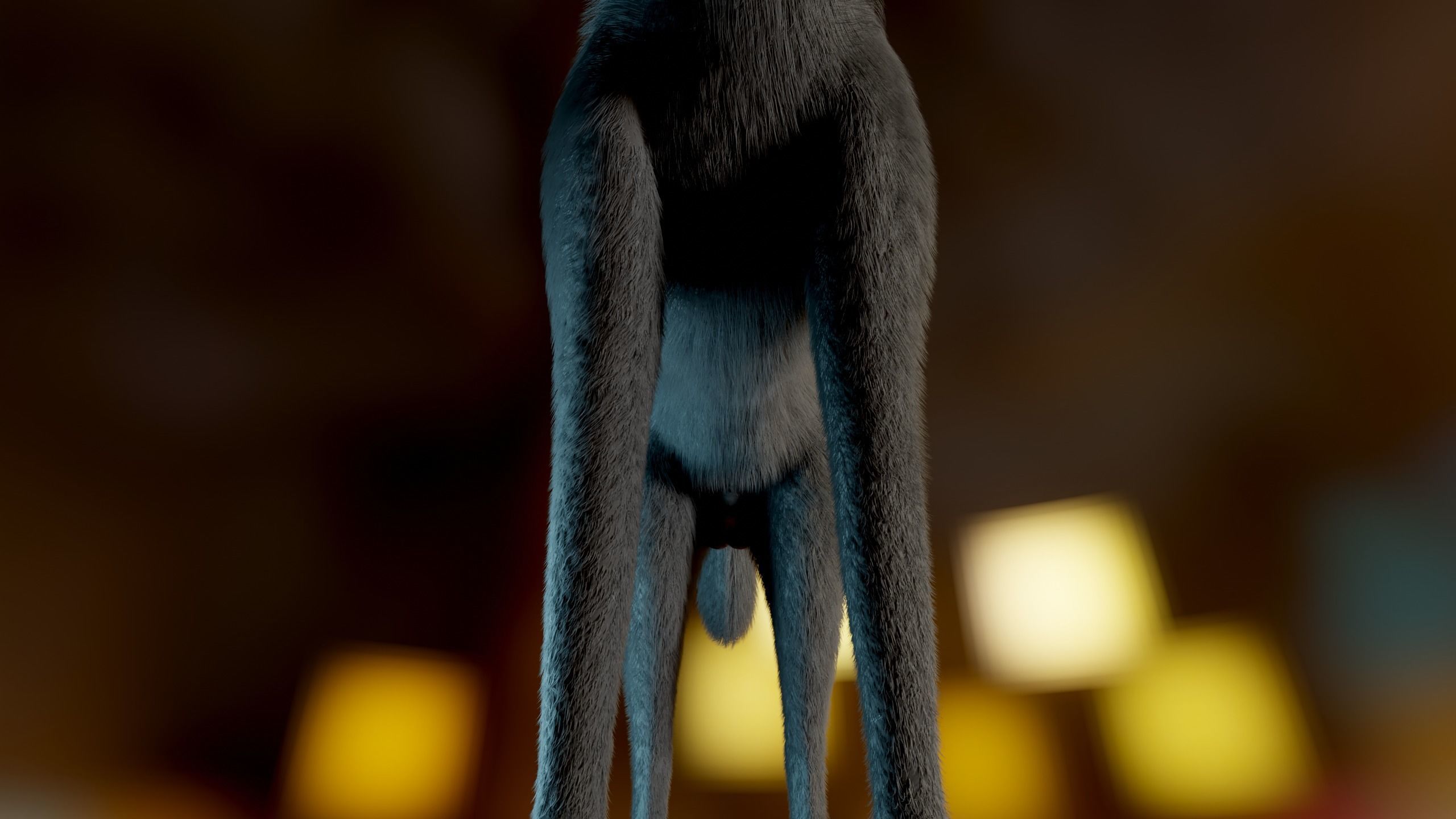 Noah Wolf  3D model_11