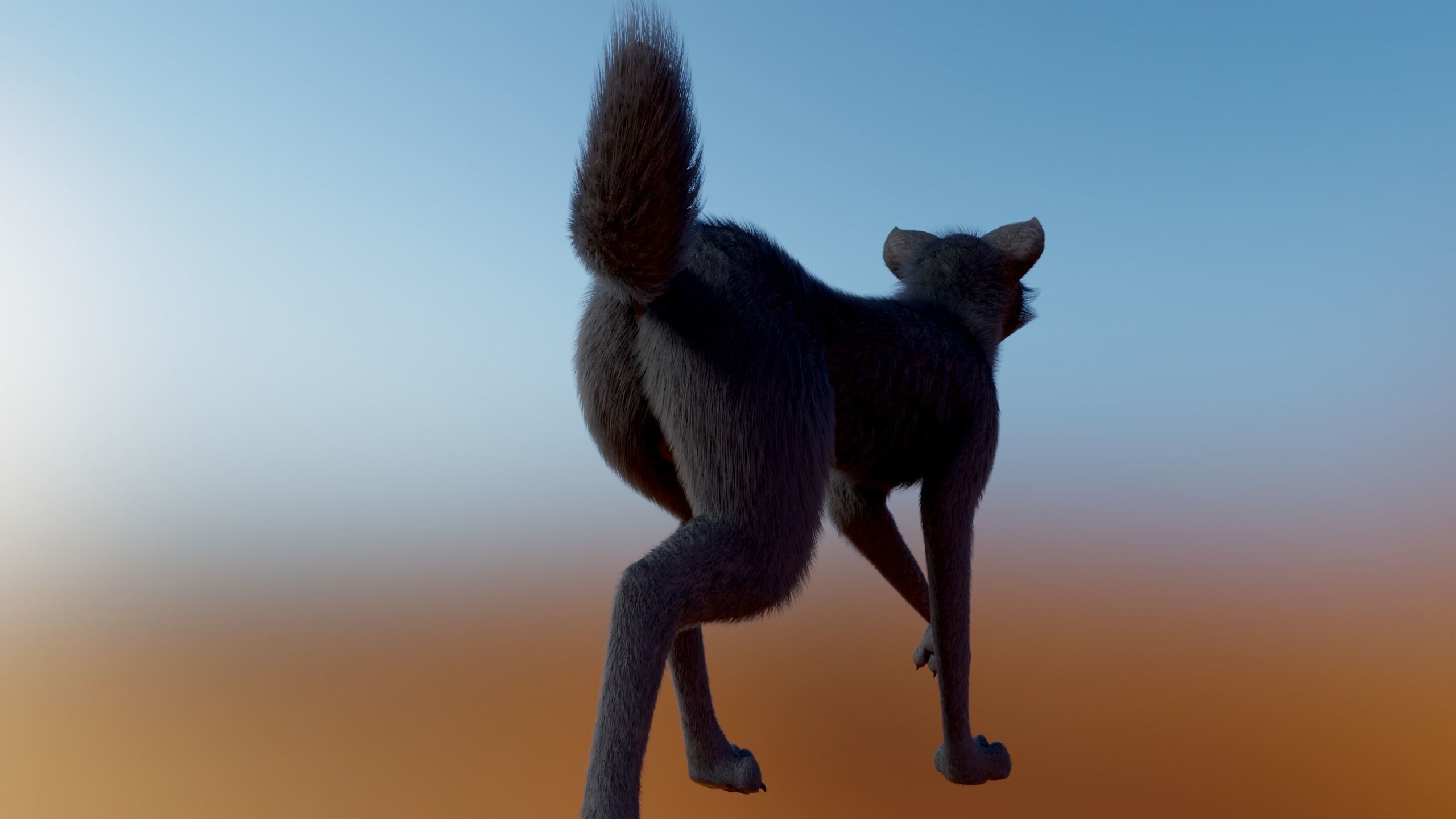 Noah Wolf  3D model_19