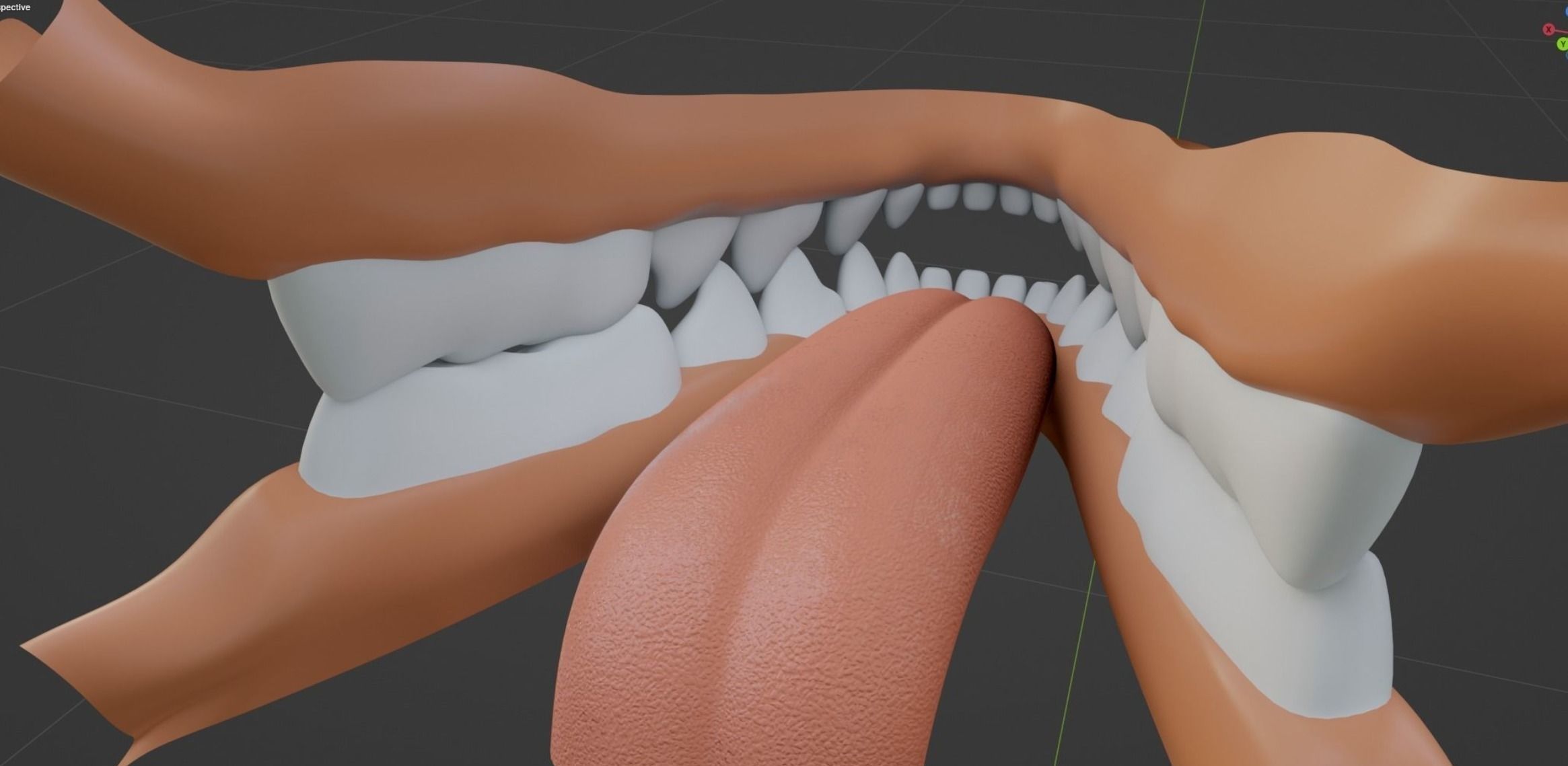 Noah Wolf  3D model_55