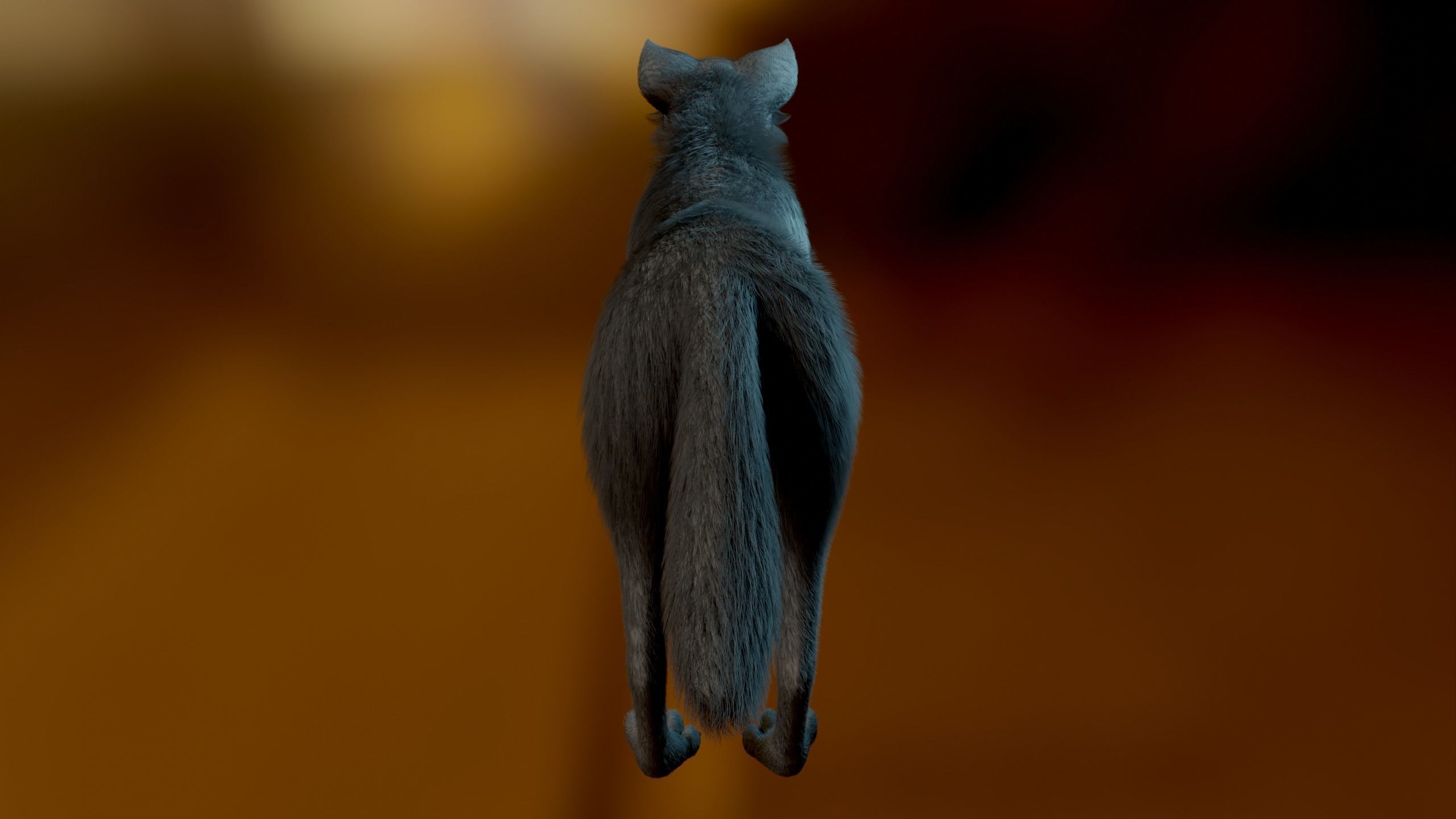 Noah Wolf  3D model_7