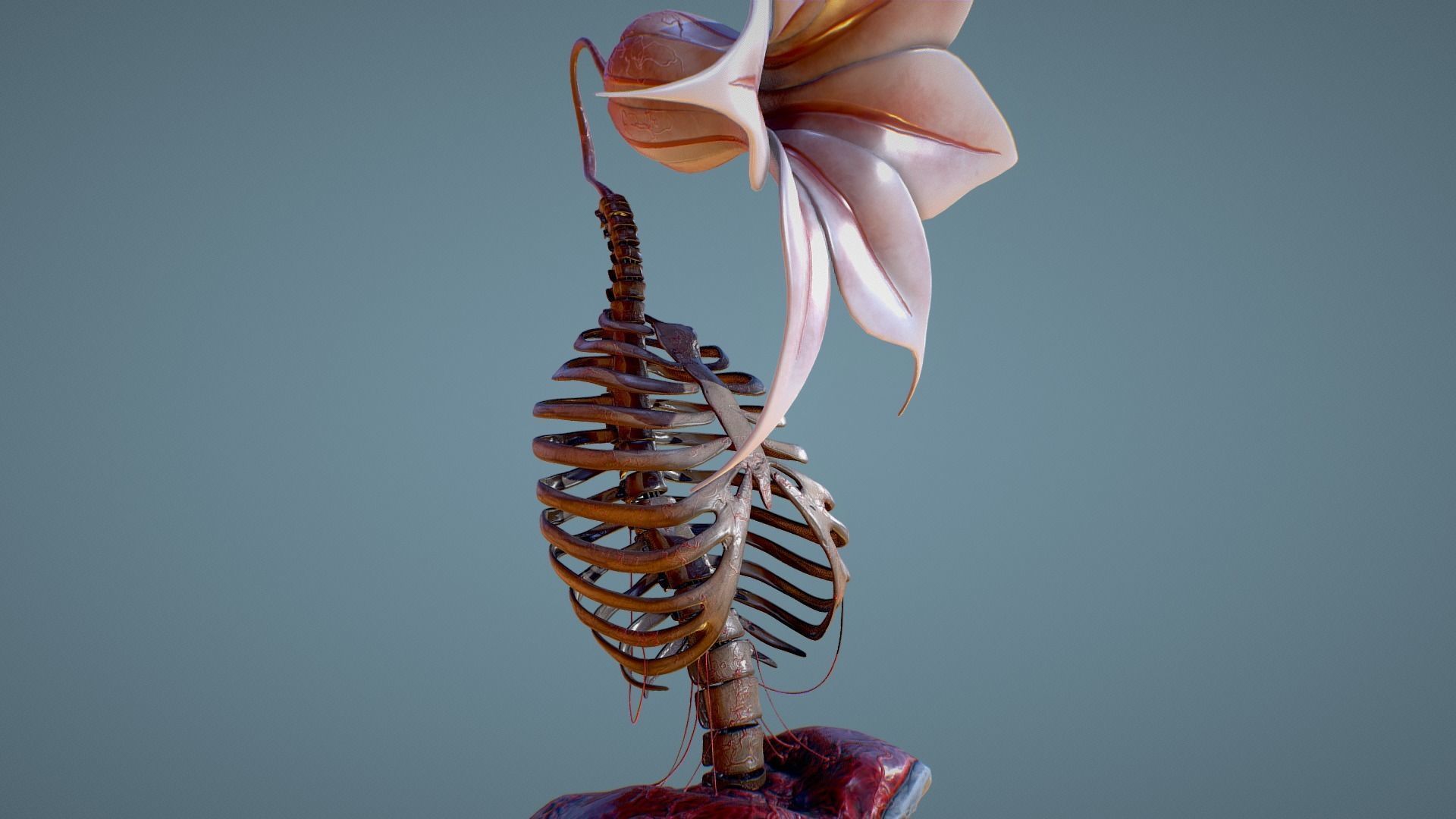 Corpse Flower Low-poly 3D model_2