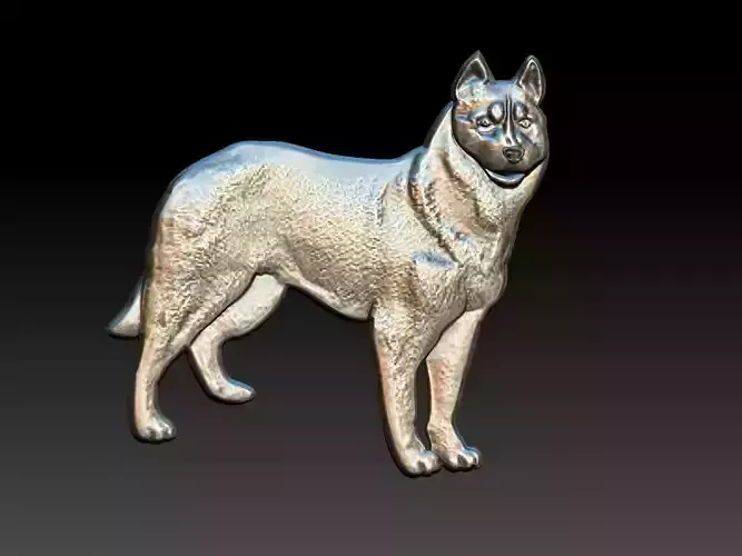 Siberian Husky Dog Relief