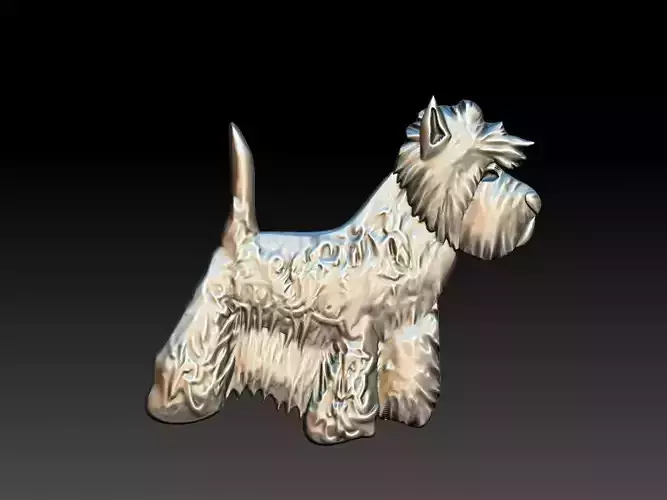 West Highland White Terrier Dog Relief