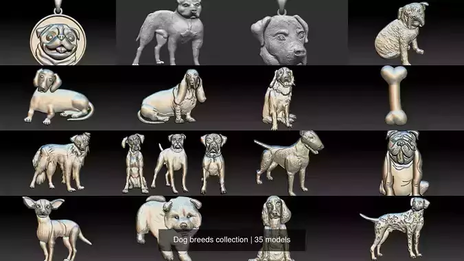Dog breeds collection 