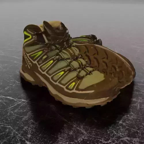 SALOMON X ULTRA 3D SHOES