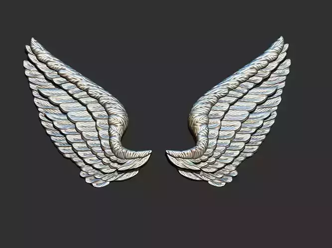 Wings Relief