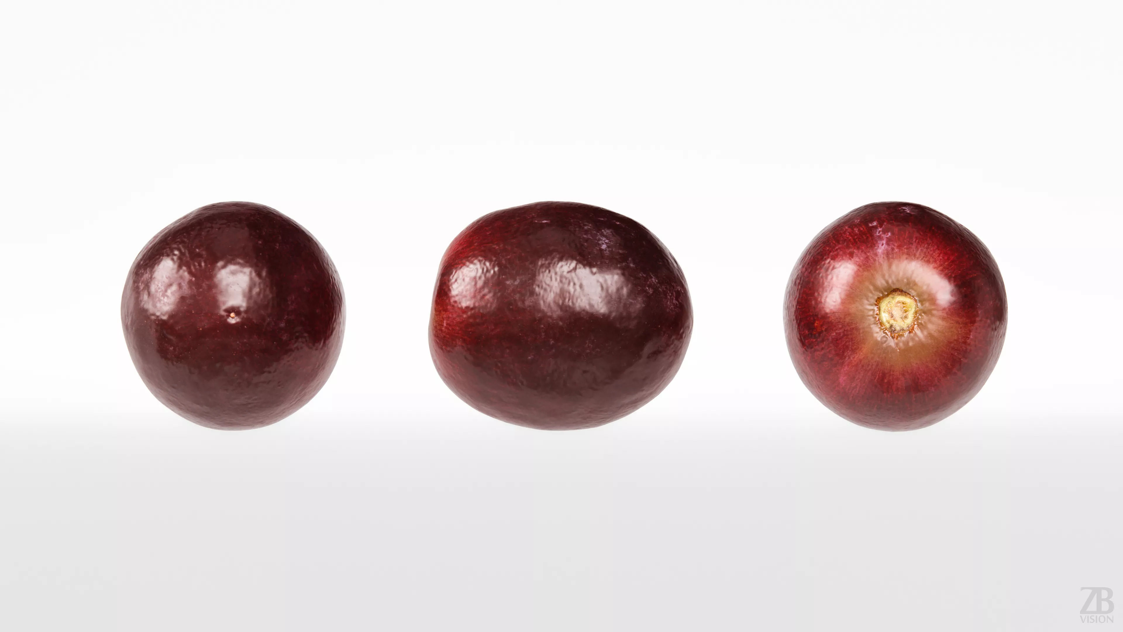 Grape 3D model_4