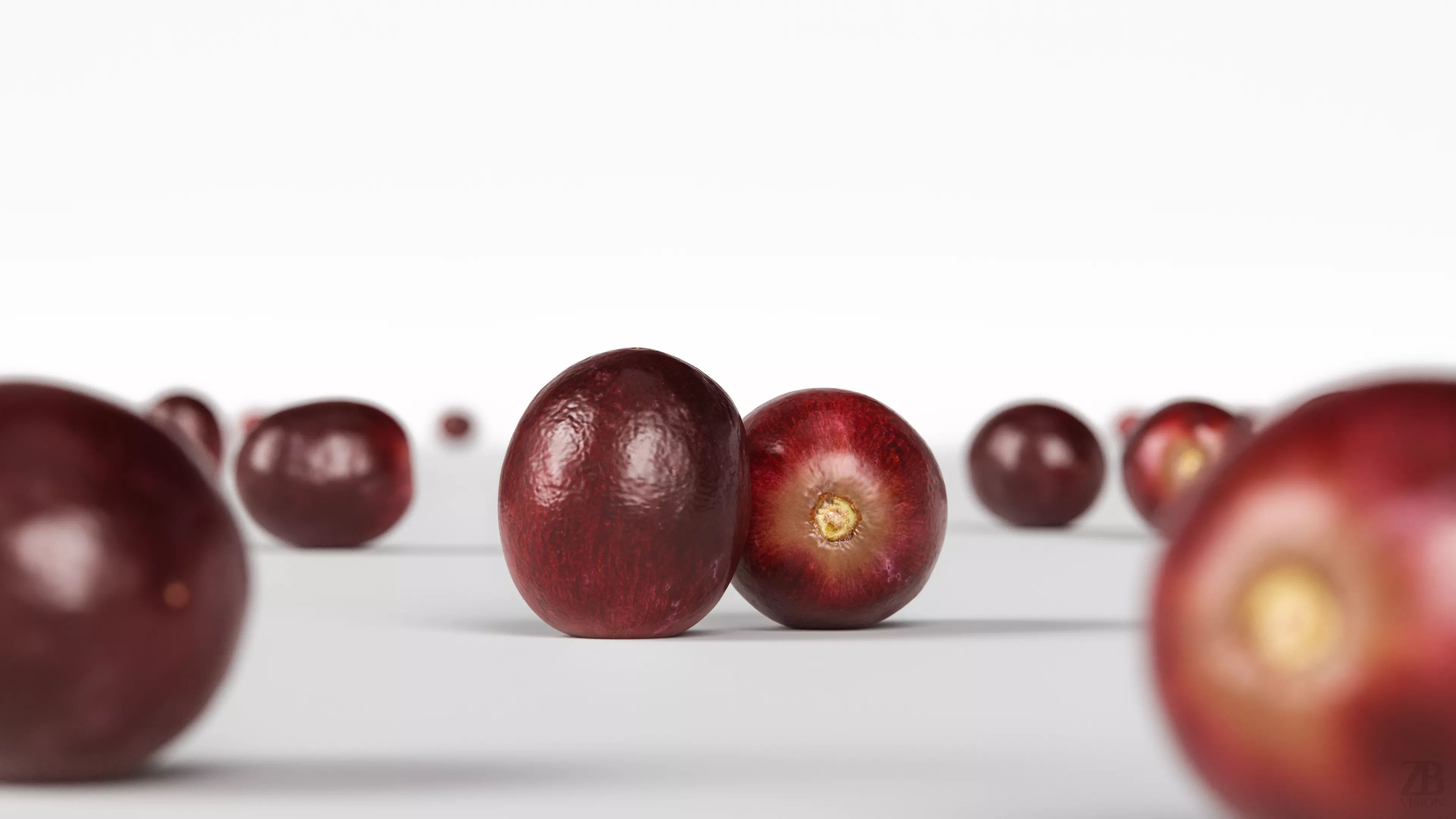 Grape 3D model_1