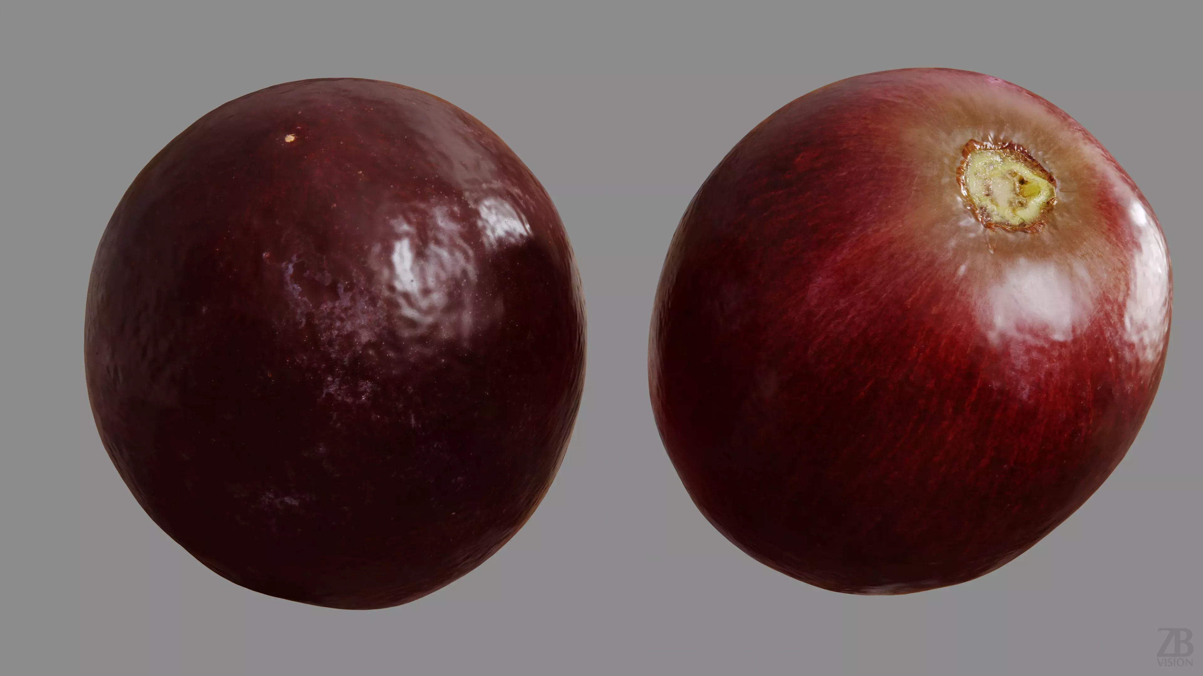 Grape 3D model_9