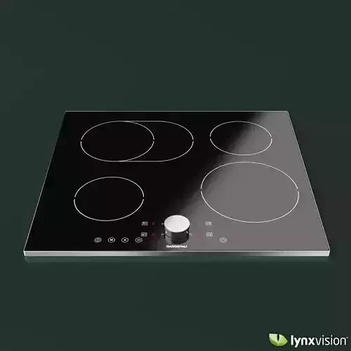Gaggenau Induction Cooktop