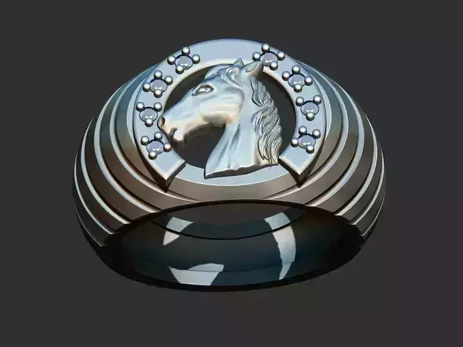 Horse and Horseshoe Rings 3D print model