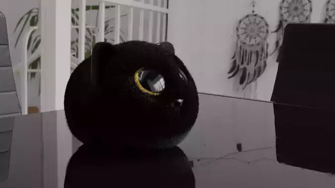 Fluffy black cat 