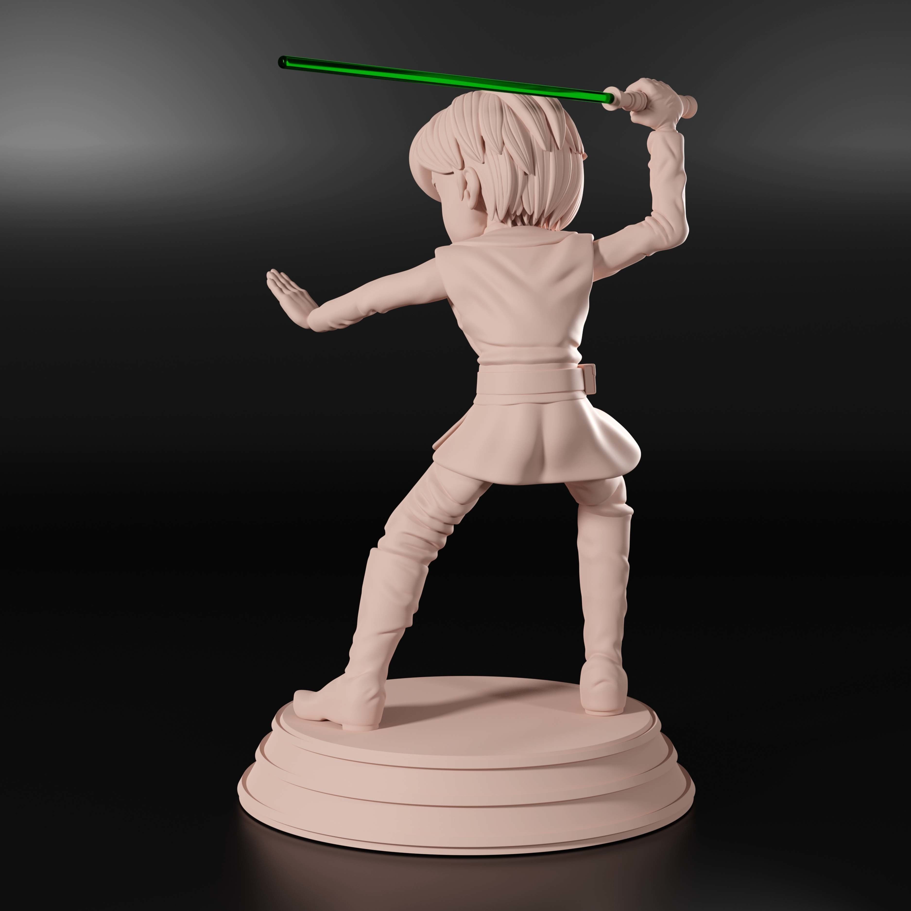 Luke Skywalker - Jedi Master 3D print model_13