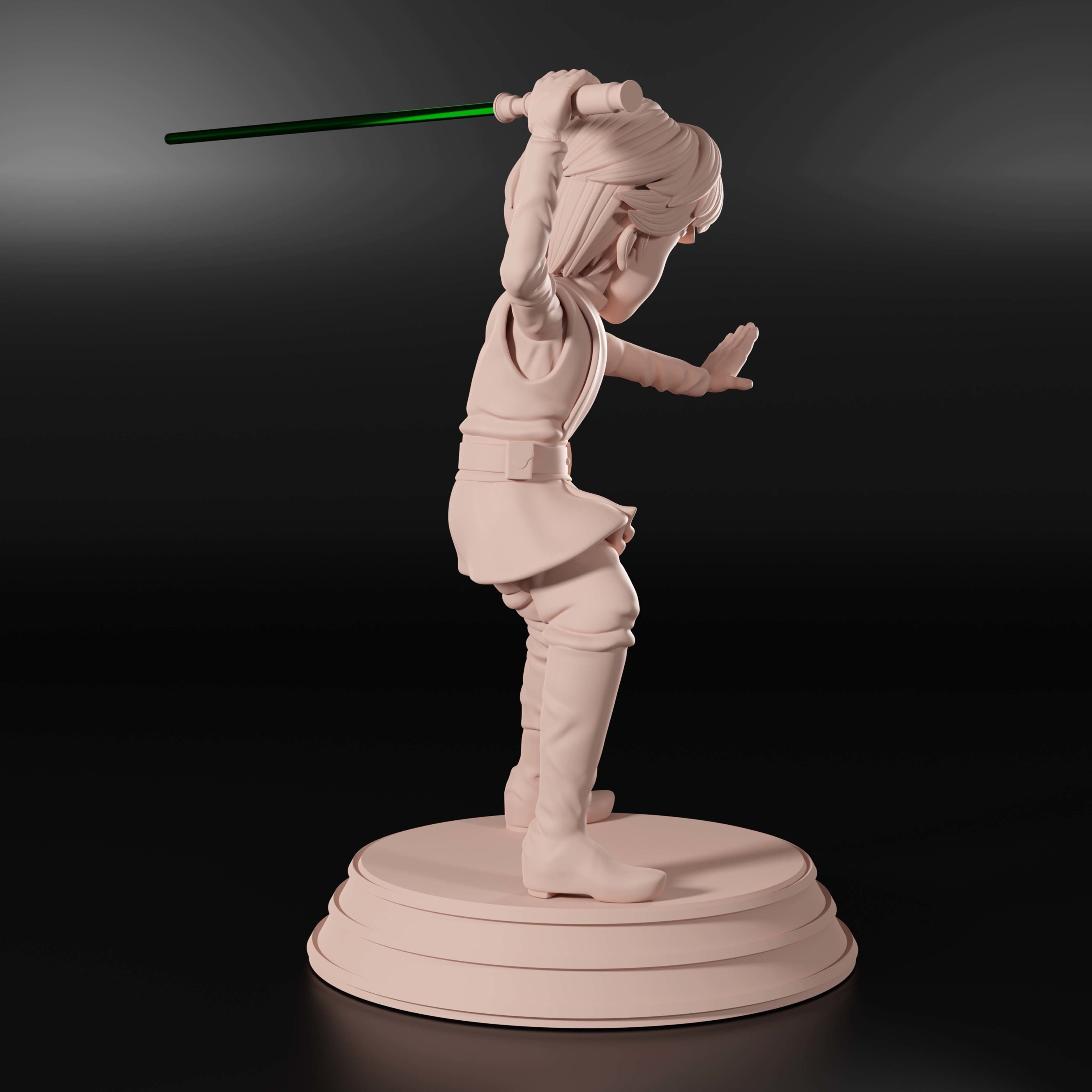 Luke Skywalker - Jedi Master 3D print model_15
