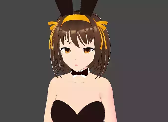 Model Haruhi s Bunny mod
