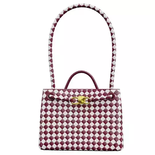 Veneta Medium Andiamo Bag