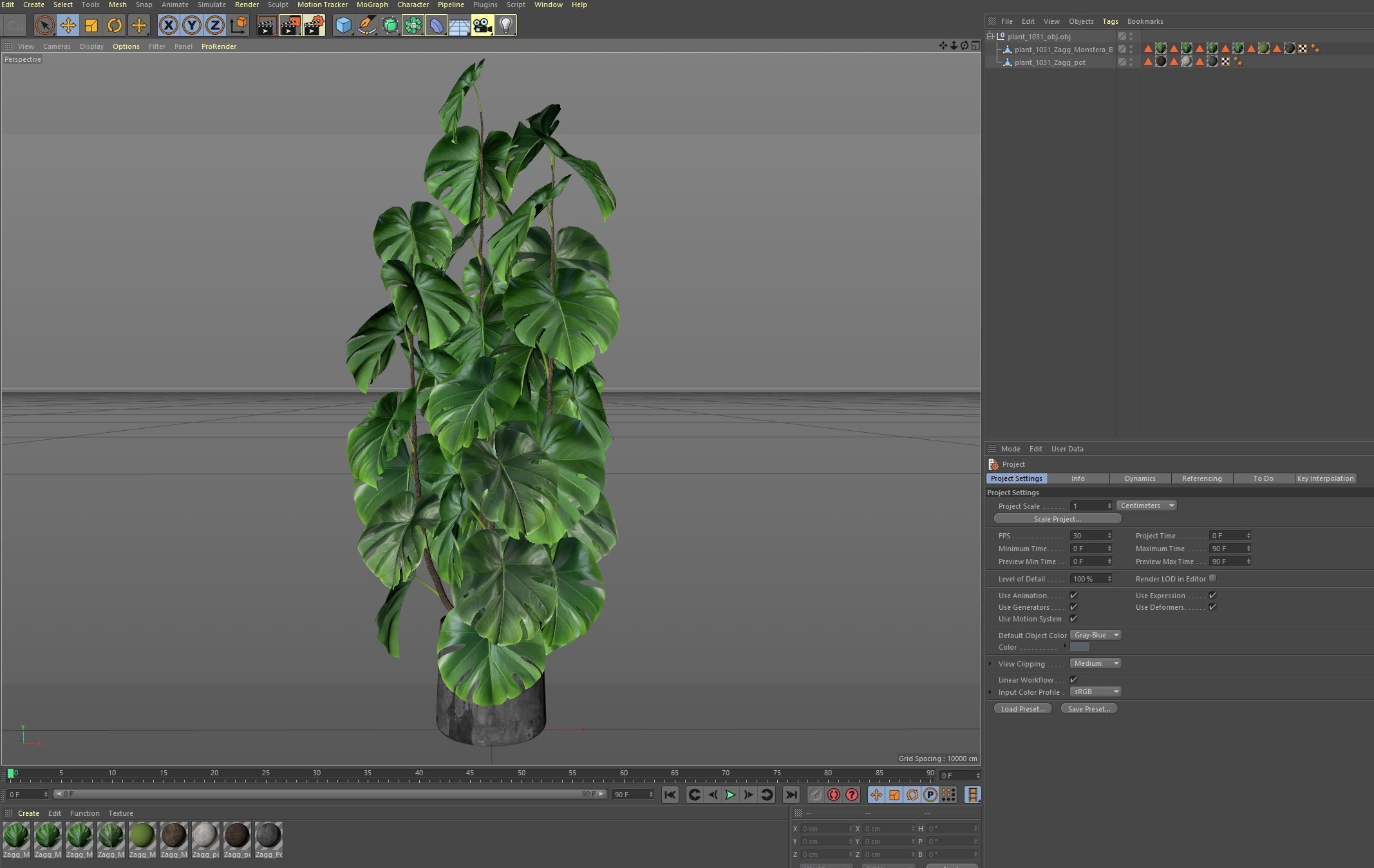 Plants collection 1031 3D model_7