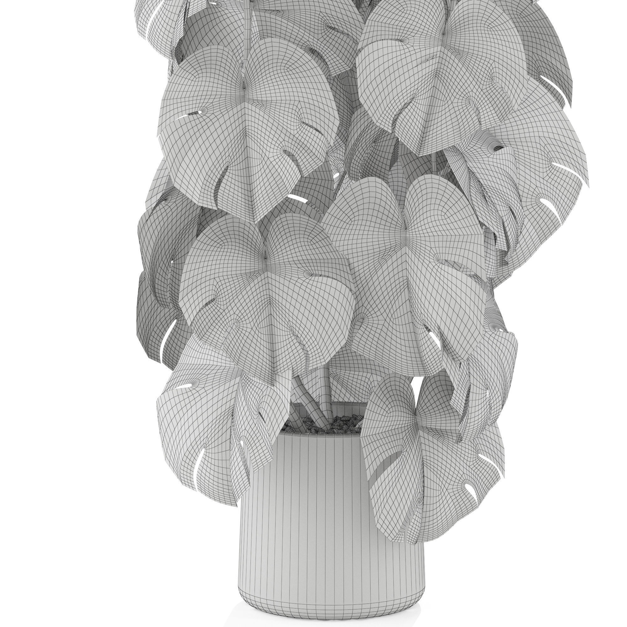 Plants collection 1031 3D model_5