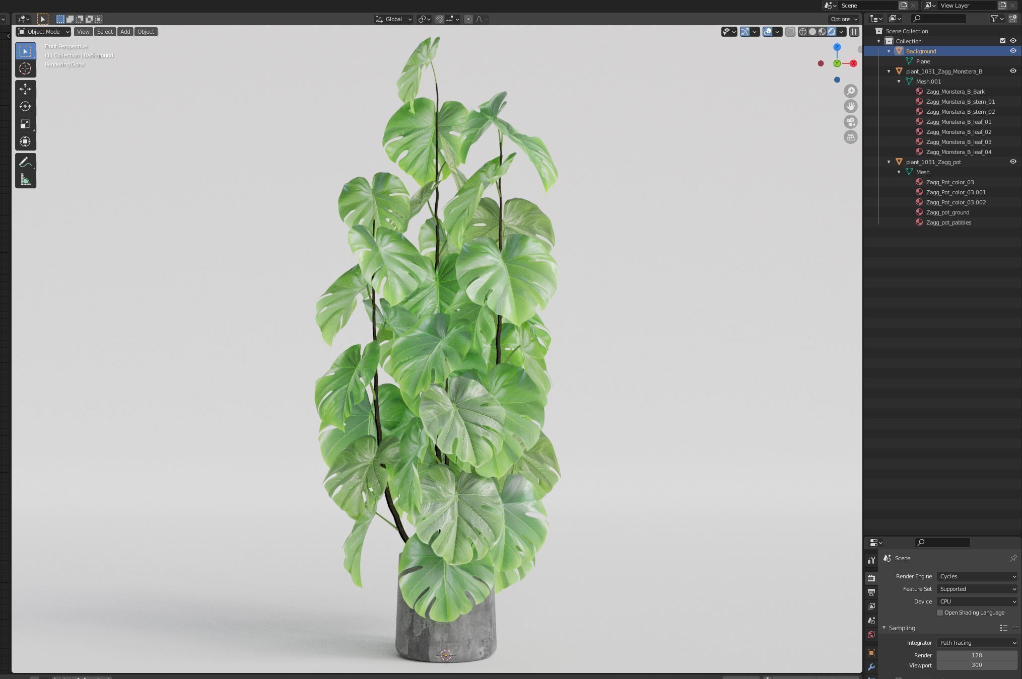 Plants collection 1031 3D model_6