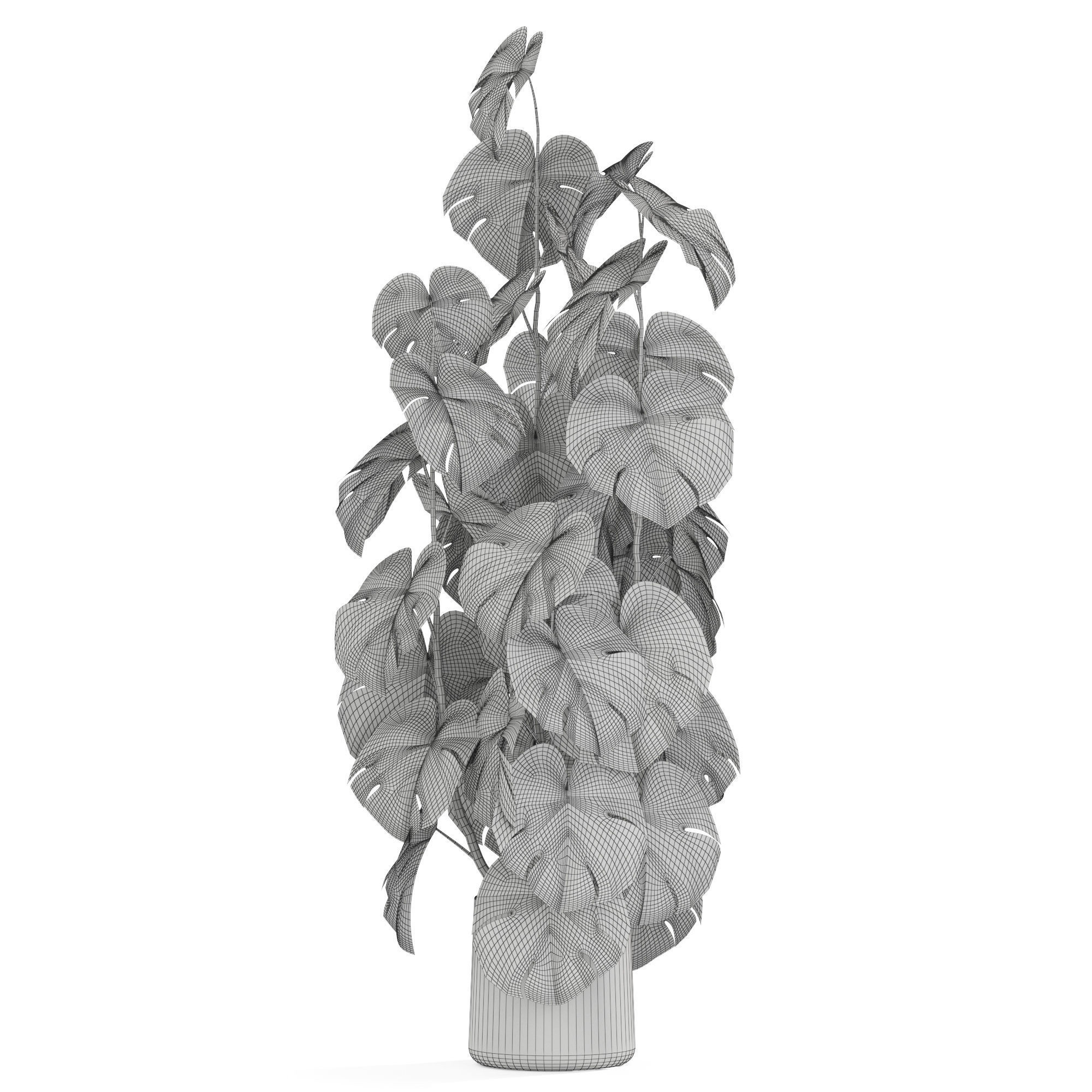 Plants collection 1031 3D model_4