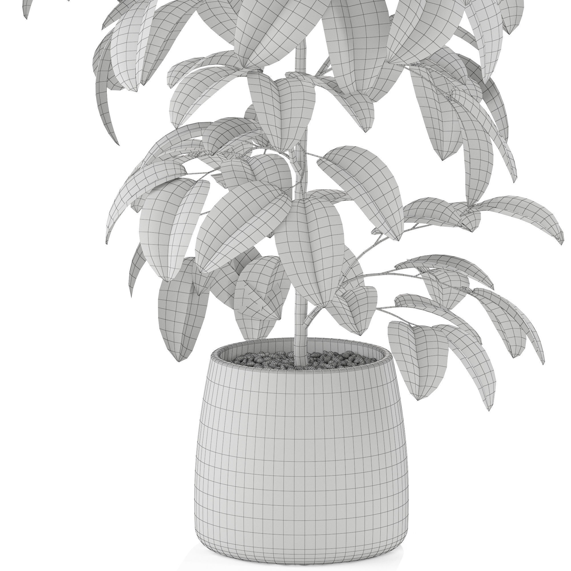Plants collection 1032 3D model_5