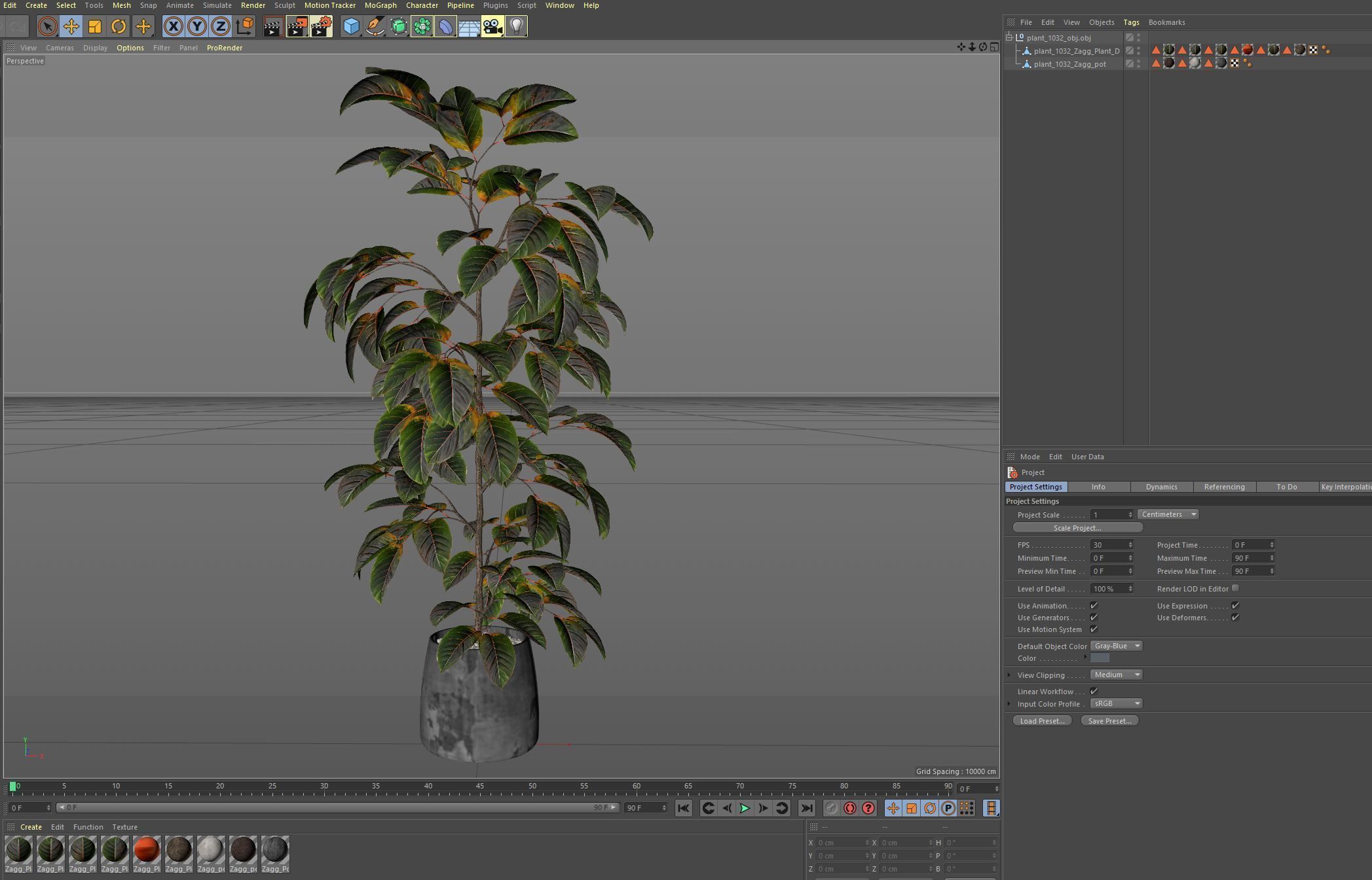 Plants collection 1032 3D model_7