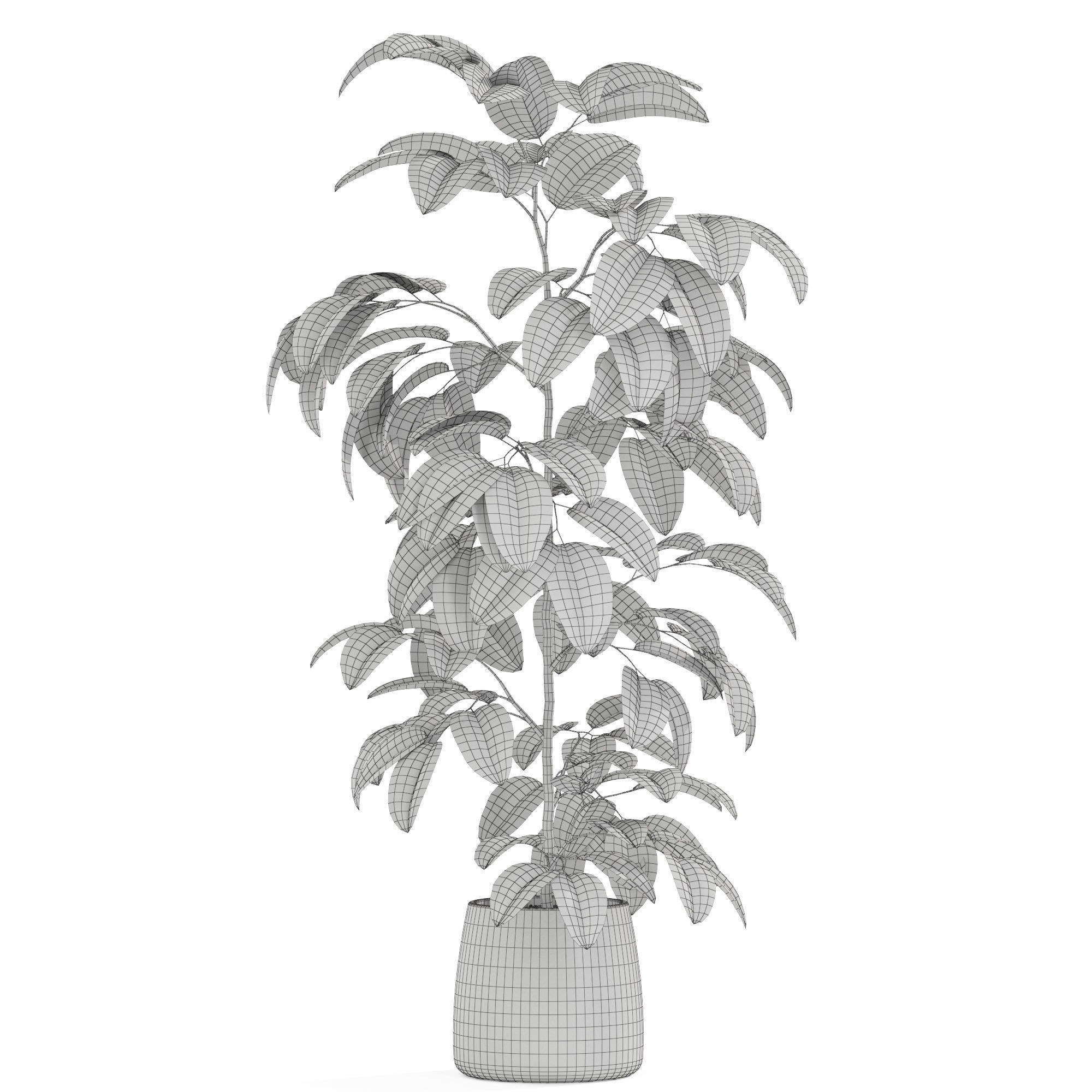 Plants collection 1032 3D model_4