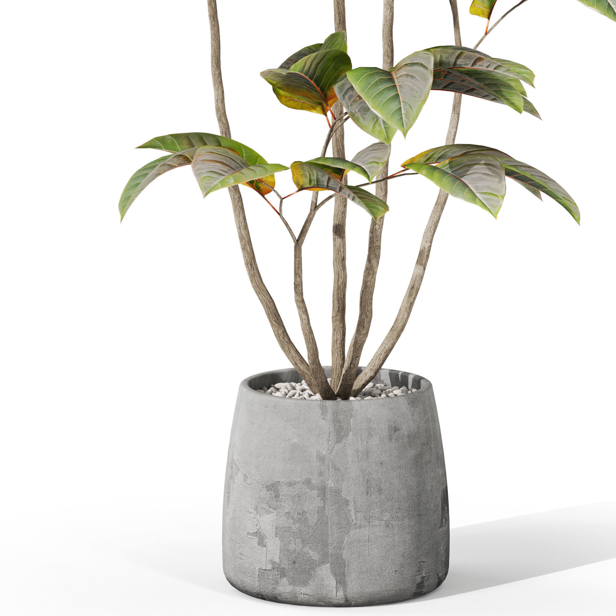 Plants collection 1033 3D model_2