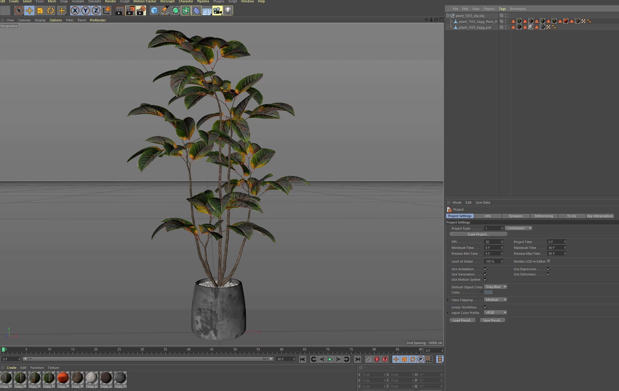 Plants collection 1033 3D model_7