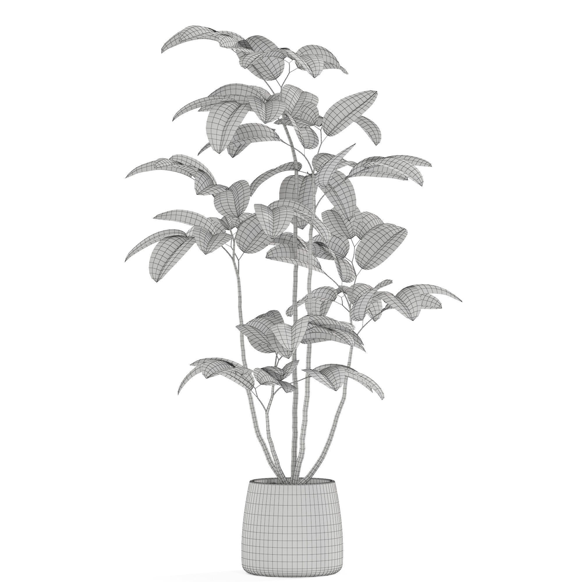 Plants collection 1033 3D model_4